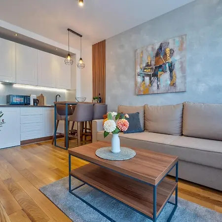 Titova Mountain View アパート ズラティボール