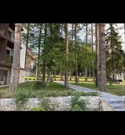 Apartment Titova Mountain View
